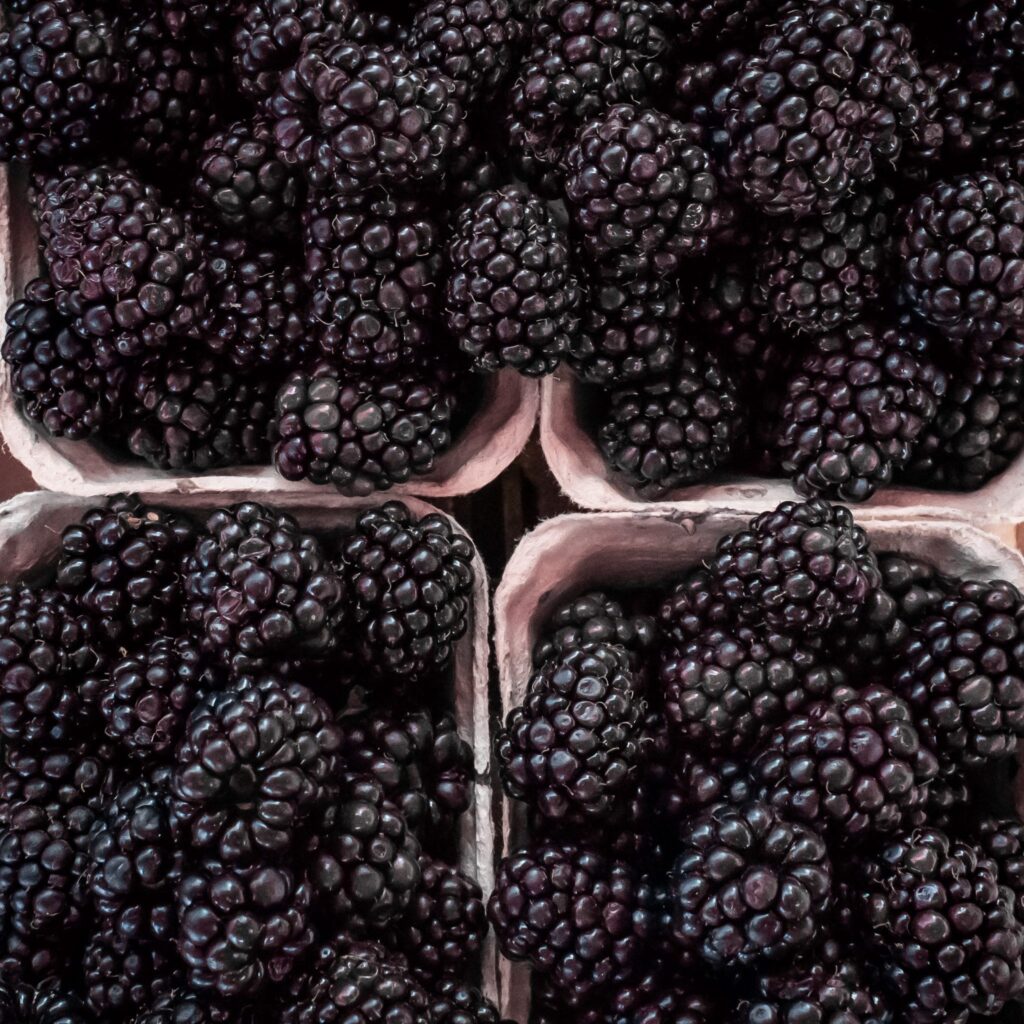 Blackberry