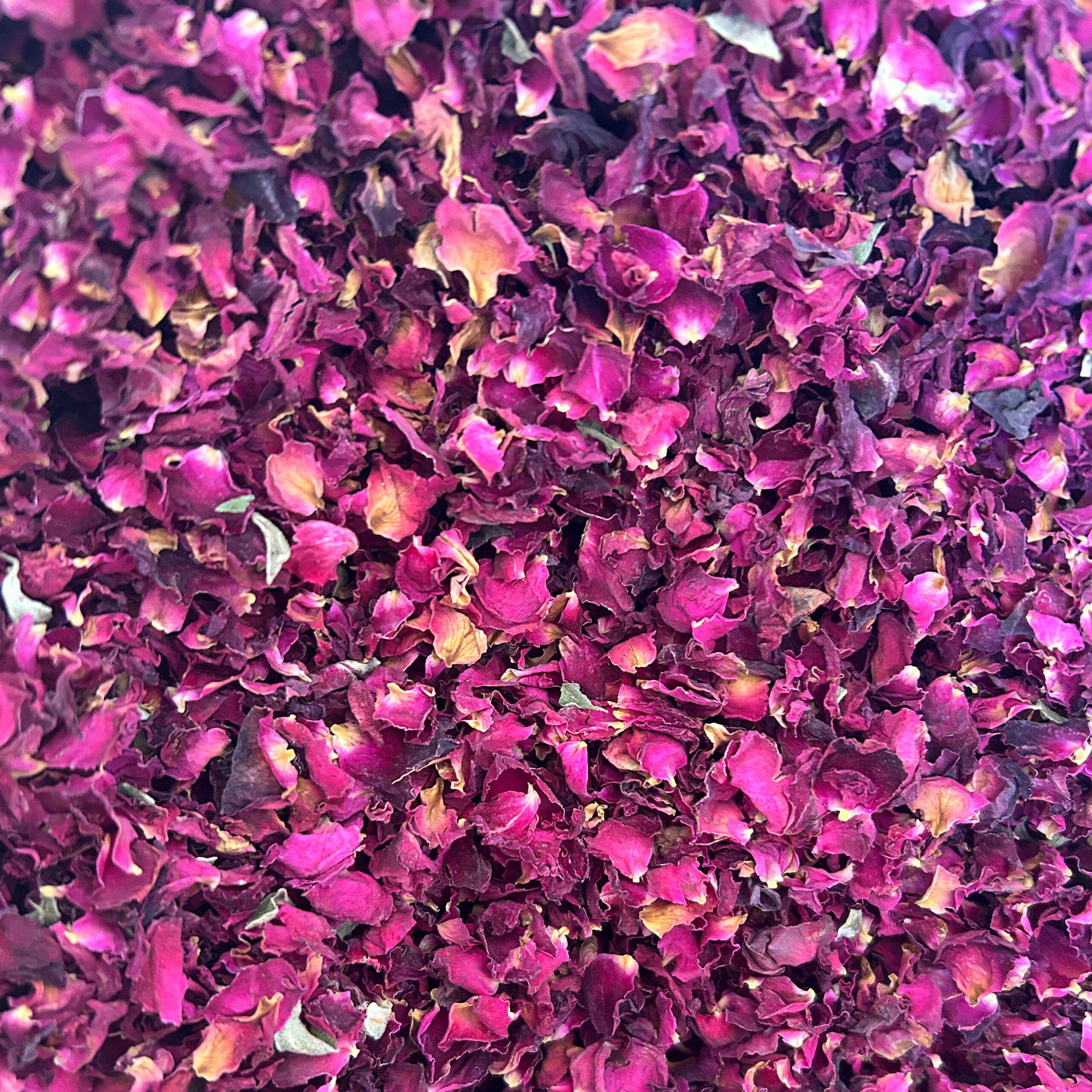 Rose Petals - a unique Gin Botanical © Jim Long Starspice Ingredients