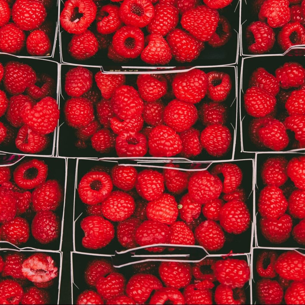 Raspberry