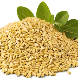 Fenugreek