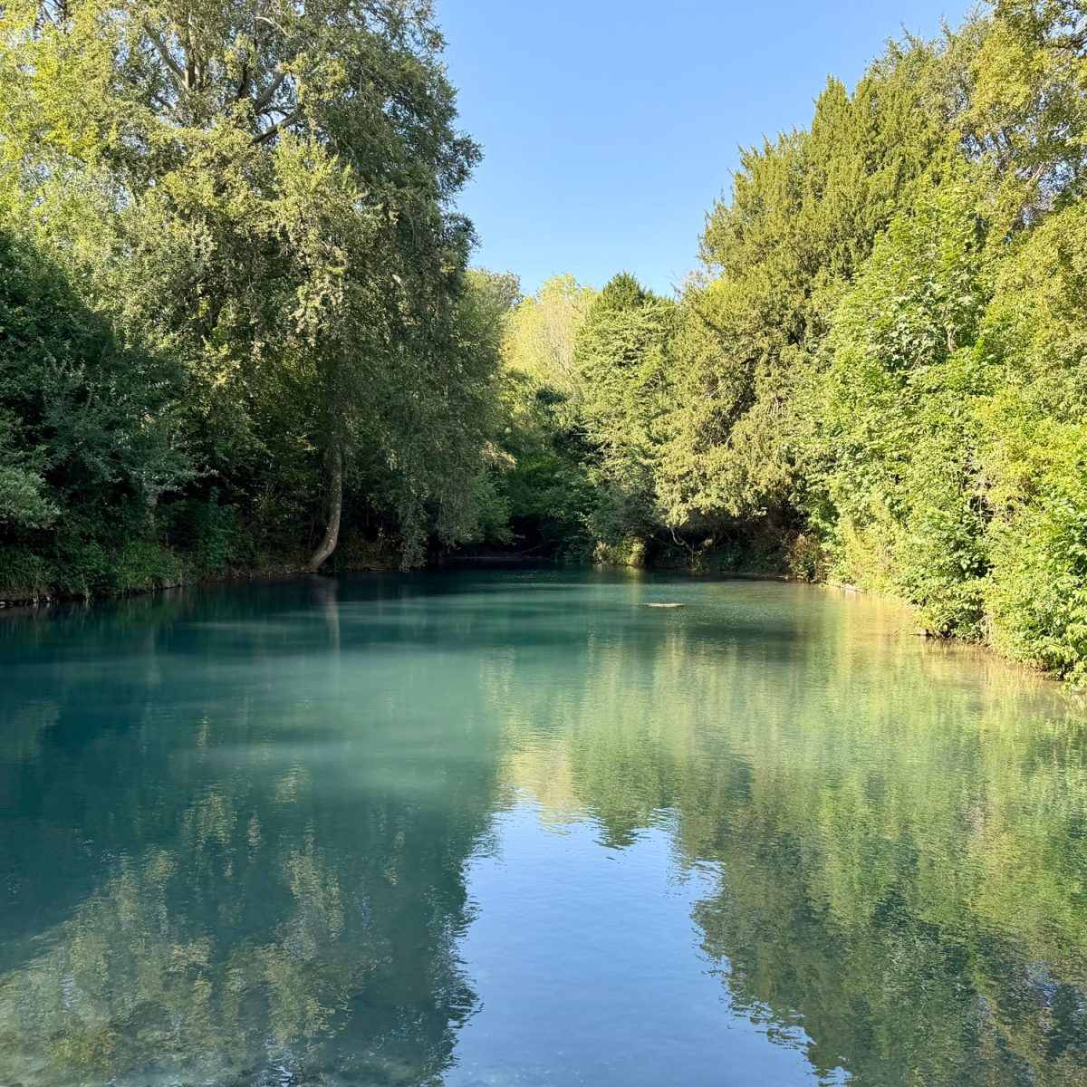 Silent Pool Distillery