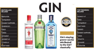 Drinks International's annual Brand Report for Gin 2024
