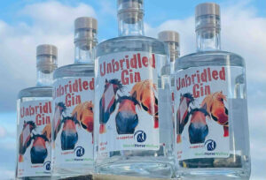 Unbridled Gin is the latest gin in the Persie Charity Collection!