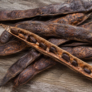 Mesquite Bean